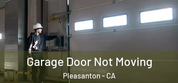  Garage Door Not Moving Pleasanton - CA