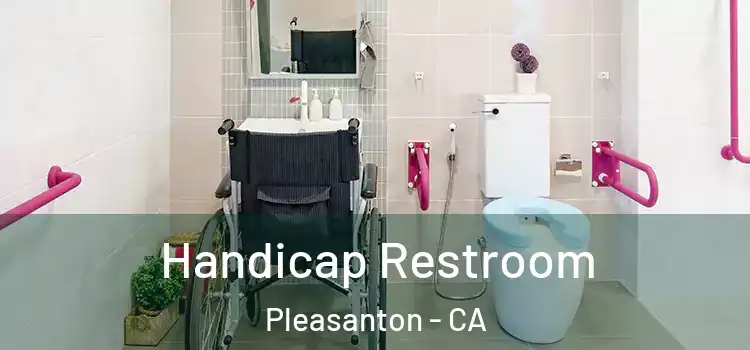 Handicap Restroom Pleasanton - CA