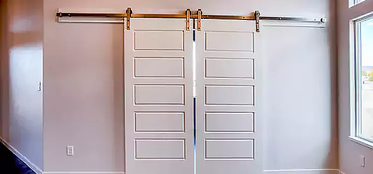 Glass Barn Door with Installation Hardware Kit Pleasanton