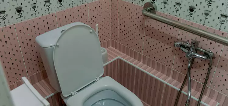 Meeting Diverse Needs With Accessible Restroom Solutions in Pleasanton, CA